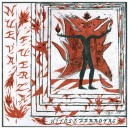 NUEVA FUERZA-Hitos y Derrotas LP