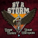 BY A STORM-Your Voice Your Weapon LP