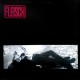 FLEISCH-s/t LP