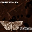 AMANITA MUSCARIA-Soma CD