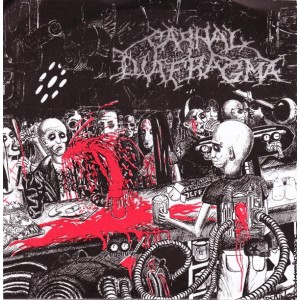 CARNAL DIAFRAGMA / ULCERRHOEA-Split 7''