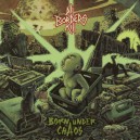 ALL BORDER KILL-Born Under Chaos LP