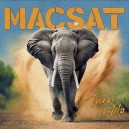 MACSAT-Turn It Up LP