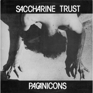 SACCHARINE TRUST-Paganicons LP