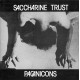 SACCHARINE TRUST-Paganicons LP