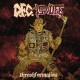 D.F.C. / LOWLIFE-Split LP