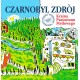CZARNOBYL ZDRÓJ-Kraina Pustostanu Myślowego LP