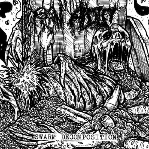 RAW ADDICT-Swarm Decomposition CD