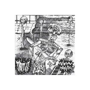 PARTIYA / TROTZREAKTION-Split 7''