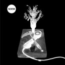 NOEM-s/t 12'' LP