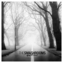 THE SMASHROOMS-Questions 7''