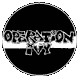 OPERATION IVY