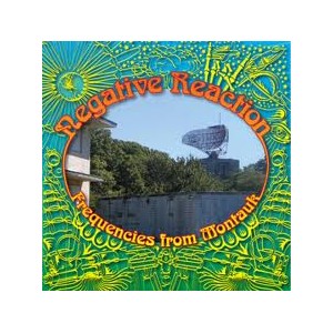 NEGATIVE REACTION-Frequencies from Montauk LP