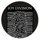 JOY DIVISION