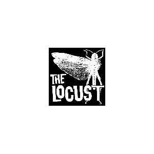 081 THE LOCUST