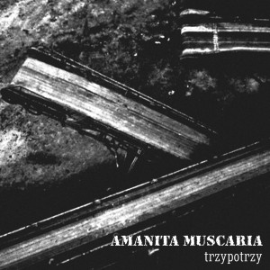 AMANITA MUSCARIA-Trzypotrzy CD