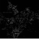 HISSING-s/t 7''